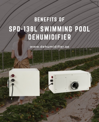 Commercial pool dehumidification system